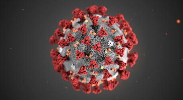 Coronavirus: cosa c’è da sapere.